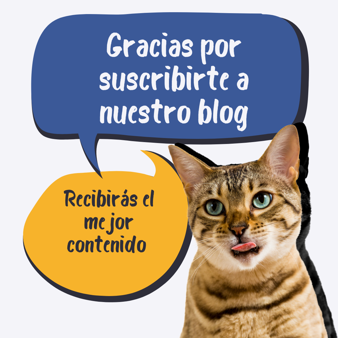 Imagen del último artículo del blog